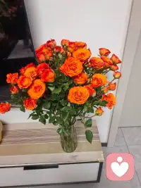 愿你卸下自我苛责的枷锁，带着“修心”的智慧，与自己温柔相拥，在属于自己的节奏里，慢慢活成自己喜欢的模样。配图