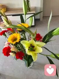 愿你卸下自我苛责的枷锁，带着“修心”的智慧，与自己温柔相拥，在属于自己的节奏里，慢慢活成自己喜欢的模样。配图