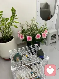 做真实的人难，寻真心的友更难，真心换真心，从来都不是一件容易的事。配图