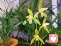 在虚拟的洪流里太过稀缺。太多的相遇只是一时新鲜感，太多的陪伴只是短暂的过客，真心付出再多，也很难换来同等的真心，配图