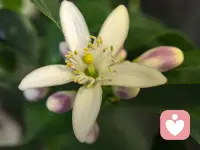 在虚拟的洪流里太过稀缺。太多的相遇只是一时新鲜感，太多的陪伴只是短暂的过客，真心付出再多，也很难换来同等的真心，配图
