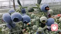 让情绪自由流动，拥抱更真实的自己配图