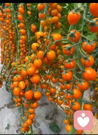 如果心里有难受、委屈、压力，想找人倾诉又不方便和身边人说，可以来找我，我是倾听者永恒，我会认真倾听、温柔陪伴。