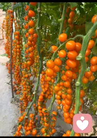 如果心里有难受、委屈、压力，想找人倾诉又不方便和身边人说，可以来找我，我是倾听者永恒，我会认真倾听、温柔陪伴。