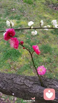 愿每一个认真对待感情的人，都能避开错的人，遇见温暖契合的伴侣，在烟火人间里，拥有一份安稳踏实、长久相守的婚恋幸福。