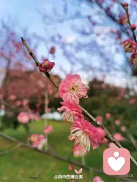 愿每一个认真对待感情的人，都能避开错的人，遇见温暖契合的伴侣，在烟火人间里，拥有一份安稳踏实、长久相守的婚恋幸福。