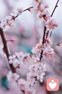 愿每一个认真对待感情的人，都能避开错的人，遇见温暖契合的伴侣，在烟火人间里，拥有一份安稳踏实、长久相守的婚恋幸福。