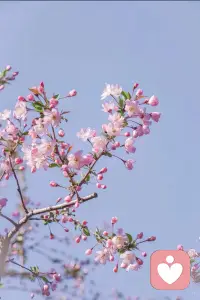 愿每一个认真对待感情的人，都能避开错的人，遇见温暖契合的伴侣，在烟火人间里，拥有一份安稳踏实、长久相守的婚恋幸福。