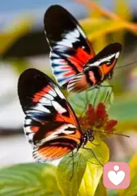 你的感受，
永远值得被认真对待.