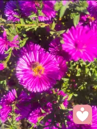 你的感受，
永远值得被认真对待.