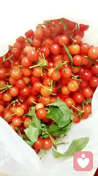 努力爱自己，是人生最底层的底气，也是一生最重要的修行。