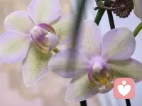 在理解与接纳中，找回内在完整与生长的力量。