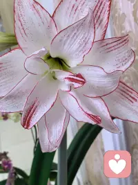 在理解与接纳中，找回内在完整与生长的力量。