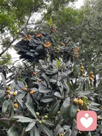 健康才是人生最无价的真谛，是拥有一切的前提和根基