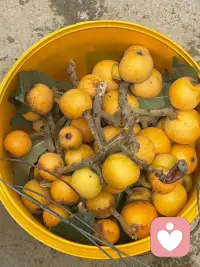 健康才是人生最无价的真谛，是拥有一切的前提和根基