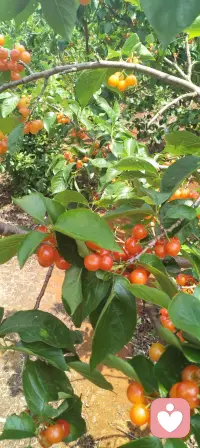 当你不再试图控制别人的时候，你就自由了。当你不再要求自己完美的时候，你就轻松了。