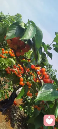 当你不再试图控制别人的时候，你就自由了。当你不再要求自己完美的时候，你就轻松了。