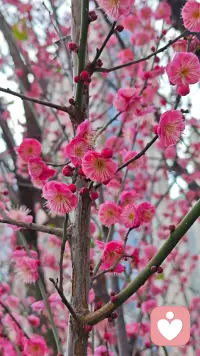 有一位禅师曾说：“倾听是一种布施，你把耳朵施舍给了别人的声音。”配图