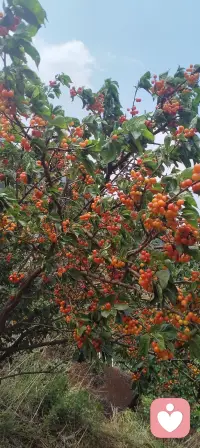 倾诉，是情绪正常的流动，是心灵必要的呼吸，是给自己压抑已久的内心一个出口。允许自己不完美，允许自己脆弱，允许心事被看见、被温柔安放。