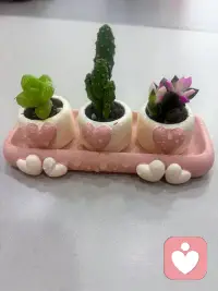 情绪从来没有对错之分，难过从来不是软弱，倾诉也从来不是矫情。照顾好心理健康，不用逼迫自己时刻乐观，不必要求自己事事完美，更不必强迫自己活成无坚不摧的模样。