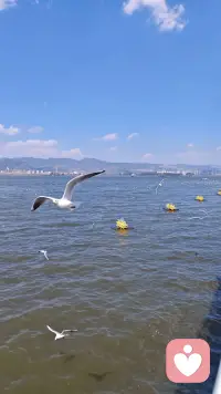 幸福从来不是一个遥远的目标，不是需要用一生去追逐的终点线。幸福就是此时此刻，就是生活中那些简简单单的、触手可及的小确幸。