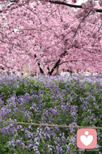 我明白你是想找个人坦诚聊聊心里的困扰，不是随便开玩笑。我可以听你说，也愿意认真交流，但我们只聊心理感受、困扰、为什么会这样，不聊露骨、低俗的内容，保持尊重和边界，你能接受的话，我们就好好说。