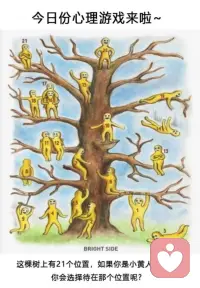 这个树上，你会选择哪个位置？配图