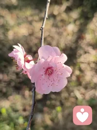 所有的真情都留给爱的人，所有的机会都留给对我们人。配图