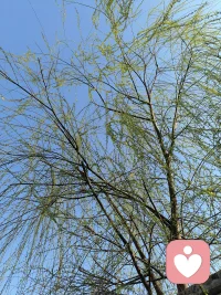 永远不要骗一个对你好的人，因为她不是对人人都好的，也不要辜负一颗真心对待你的心，因为心冷了，再捂就捂不热了！配图