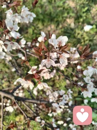 我若不信你，你拿什么骗我？我若不在乎，你如何能伤我？你高估了自己的本事，也低估了我的心甘情愿。但遗憾的不是我，我躲过了一个伤害自己的人，而你失去了一个在这个人心冷漠、权衡利弊的世界，心甘情愿为你付出的人。你的不珍惜，又何尝不是我的幸运。手持烟火已谋生，且贫且妄且随风。千人同茶不同味，万人同道不同心。你不理我时，我一定不会打扰你；你冷落我时，我也会慢慢冷落你。能习惯有你的陪伴，也能习惯没有你的孤单。你珍惜我，我加倍奉还；你要是不在意，那就让一切归零。配图