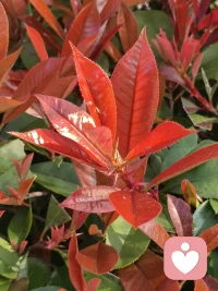 在互相尊重的前提下，我一向是个懂礼貌的人。如果哪天我失礼了，请你先照照镜子。宽容是对自己涵养的修炼，偶尔计较，是告诉别人我不傻。前者是格局，后者是底线。我有不伤人的教养，但不是你伤我的理由。我可以笑着和你讲道理，也可以翻脸和你讲规矩。与人相处，尊重是标配，靠谱是高配，而厚道则是绝配。配图