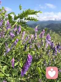 如果你也在经历一个无法解决的问题，或一场你不愿面对的现实，也许你不需要立刻想明白答案，你只需要先轻轻地放松一点点，生命也许正是在那一刻，重新开始呼吸。配图