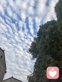 问题本身是相对的，恐惧却往往会被不断放大。当我们一遍又一遍盯着问题时，它就会吞噬我们余下的每一天。配图