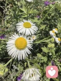 万物都在供养你。
阳光从不问你是谁，照样温暖你；
雨水从不挑三拣四，照样滋润你；
大地默默承载，从不嫌弃你；
花草自然生长，只为给你一线生机。
这世间所有的美好，都在无条件供养你、成全你。