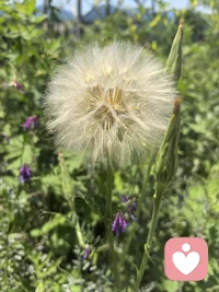 万物都在供养你。
阳光从不问你是谁，照样温暖你；
雨水从不挑三拣四，照样滋润你；
大地默默承载，从不嫌弃你；
花草自然生长，只为给你一线生机。
这世间所有的美好，都在无条件供养你、成全你。