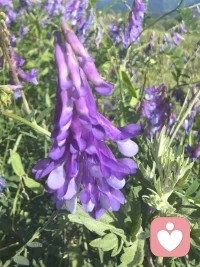 万物都在供养你。
阳光从不问你是谁，照样温暖你；
雨水从不挑三拣四，照样滋润你；
大地默默承载，从不嫌弃你；
花草自然生长，只为给你一线生机。
这世间所有的美好，都在无条件供养你、成全你。