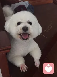 无时无刻要记住，健康第一位。配图