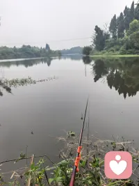 风景还可以配图