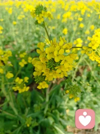 海灵格.《我允许》
你要允许自己走错路
你要允许自己看错人
你要允许你爱的人不爱你
你要允许你的工作为难你
你要允许你付出了很多之后并没有结果
你要允许今天开心
你要允许今天不开心
允许一切的发生，接纳一切的发生，你就会无敌
如果你不允许，就是在跟自己较劲
当你跟自己较完劲之后，就只能剩下力不从心和无能为力
你不允许，伤害的只有你自己
而真正的强大，也不是对抗，就是允许一切，如其所是