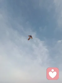 没有事情就是最好的事情，没有失去就是最好的得到。