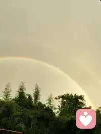 允许情绪突然低落，允许努力没有结果，允许自己只是个普通人。