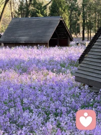 人生有四然：
来是偶然，去是必然，
尽其当然，顺其自然。