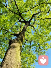 缓解焦虑最好的方法， 就是去做让你焦虑的事情配图