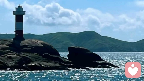 别让道德绑架,困住你的情绪|温心心灵陪伴