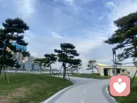 在这个世界上每一个和你没有血缘关系，并且还愿意对你好的人，都是上天赐予你的礼物。配图