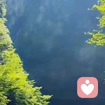 风花雪月的头像