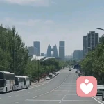 顺其自然的头像