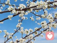 认识之后，不是所有的靠近都需要一个立刻的答案。把注意力放在相处上，时间自会替你说话。配图