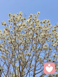 不思量，自难忘。