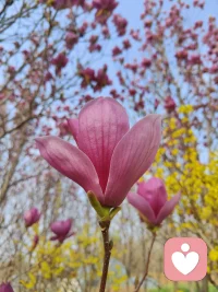 先学会爱自己，不是靠物质填满，而是从心底接纳、肯定、相信自己。当你内心安稳有力量，再去爱别人，才是成熟且不委屈的亲密关系。